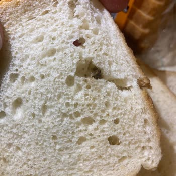 Uno Ekmek Tost Ekmeğinde Siyah Noktalar