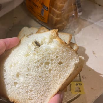 Uno Ekmek Tost Ekmeğinde Siyah Noktalar