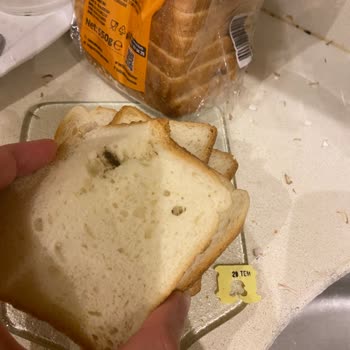 Uno Ekmek Tost Ekmeğinde Siyah Noktalar