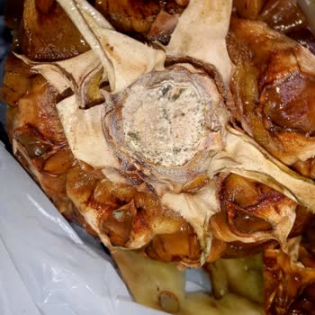 Migros'tan Aldığım Meyveler Küflü Çıkıyor