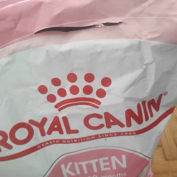 Amazon Kedi Maması Yırtık Paket Şeklinde Geldi
