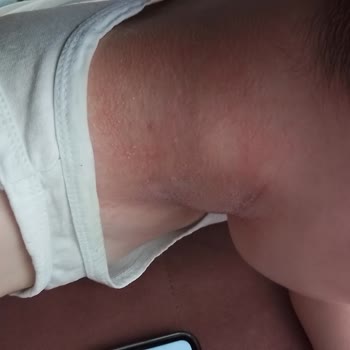 İncia Sinek Kovucu Sprey Hk