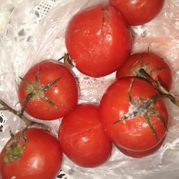 Vestel NF64012 Ex Bozuk Buzdolabını Değişim Yapmıyor