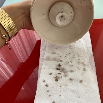 Arzum Blender Pas Akıyor