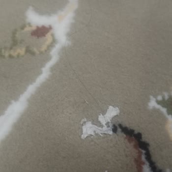 Rengarenk Mobilya Halı Yakama Mağduru