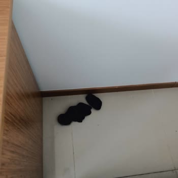 Etstur ETS Tur Ve Afytos Ören Prestige Memnuniyetsizliği