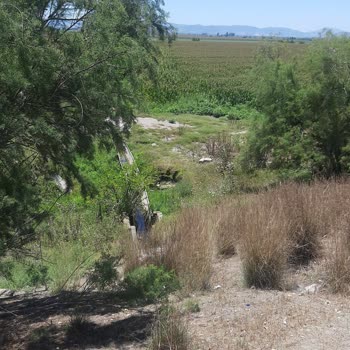 Has Diyarbakır Turizm Mağduriyet Ve Hak Talebi