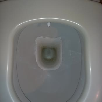 Bianca Stella Boya, WC İçin Çözüm Olmadı!