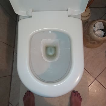 Bianca Stella Boya, WC İçin Çözüm Olmadı!