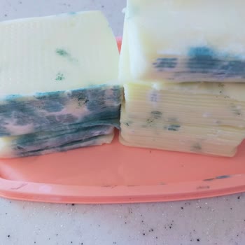 Anpa Gross Market Kasar Peyniri Küflendi