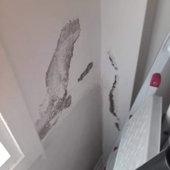 Waiting for AXA Insurance to Respond to My Water Leakage Expertise