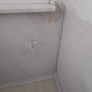 Waiting for AXA Insurance to Respond to My Water Leakage Expertise