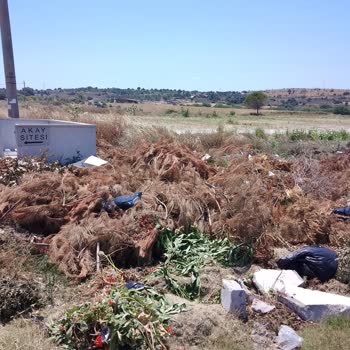 Çeşme Belediyesi Yola Atılan Bahçe Atıklarının Kaldırılması!