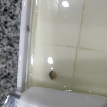 BİM Süzme Peynirde Kurt Çıktı
