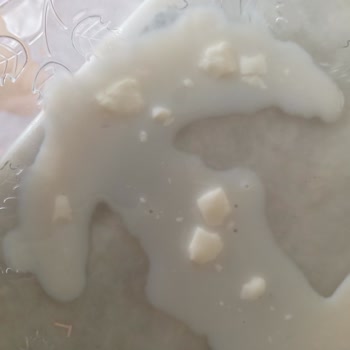 Pınar Bozuk Süt