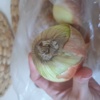 A101 Kapımda Siparişimde Eksik, Yanlış Ve Çürük Ürün Var