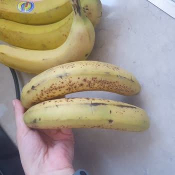 A101 Kapımda Siparişimde Eksik, Yanlış Ve Çürük Ürün Var