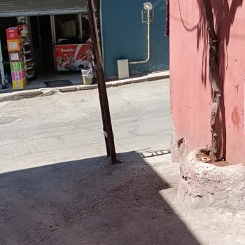 Zorlu Enerji Gazdaş Doğal Gaz