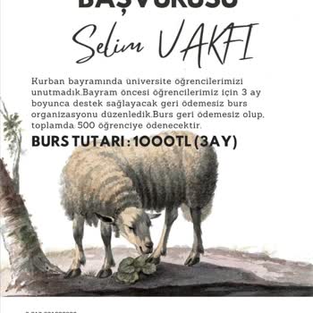 Selim Vakfı Burs Yalanı- Papara Uygulaması İle Tüm Bilgilerim Alındı