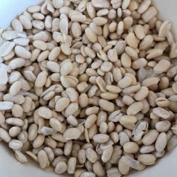 BİM Alınan Kuru Fasulye