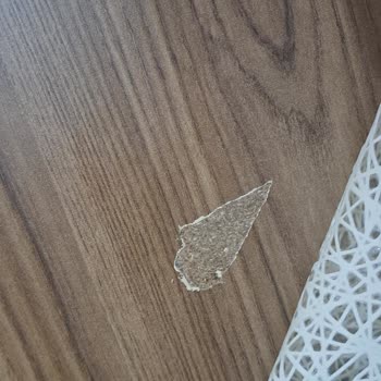 Mondi İlgisizlik, Garanti Yalanı