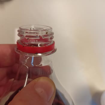 Coca-Cola Sise Kapağındaki Küçük Böceğimsi Durum