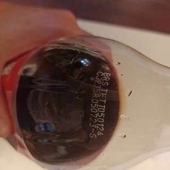 Coca-Cola Sise Kapağındaki Küçük Böceğimsi Durum