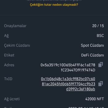 Binance Global Nft Transferimi Göremiyorum