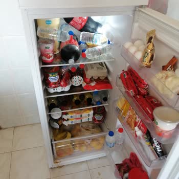 Vestel Buzdolabı Ve Çamaşır Makinesi