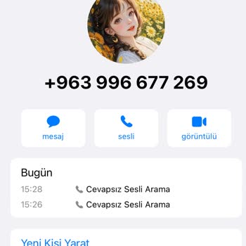 WhatsApp Sesli Arama