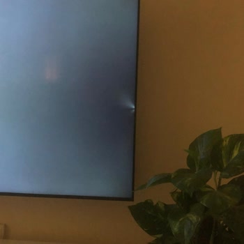 Sunny Yeni Aldığım TV