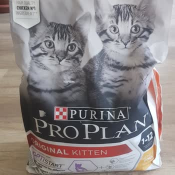 Getir'in Sipariş Hatasıyla İlgilenmemesi Ve Çözmemesi