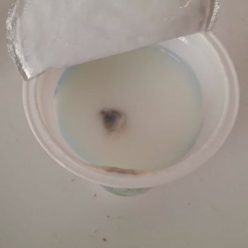 Sütaş Ayran Küflü Çıktı