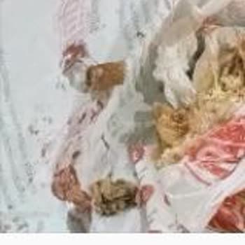 Öncü Döner Kütahya Dönerin İçinden İzmarit Çıktı