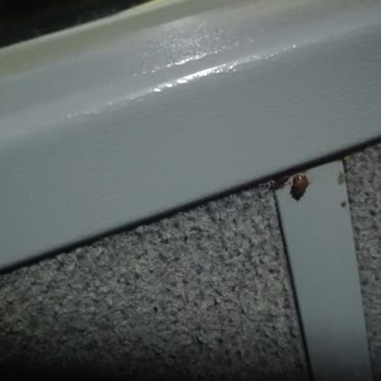 Mersin Nur Turizm Tahta Kurusu İle Otobüs Yolculuğu