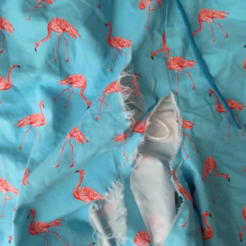 National Geographic Giyim Ürünleri Yazlık Mayo Ve Yazlık Şortun Kumaşının Yırtılması