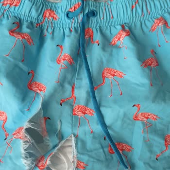 National Geographic Giyim Ürünleri Yazlık Mayo Ve Yazlık Şortun Kumaşının Yırtılması