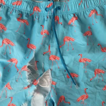 National Geographic Giyim Ürünleri Yazlık Mayo Ve Yazlık Şortun Kumaşının Yırtılması