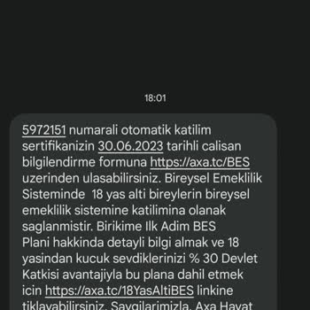 Axa BES Sigorta Otomatik Katılım.
