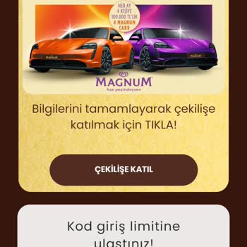 Algida Kod Giriş Limitine Ulaştınız