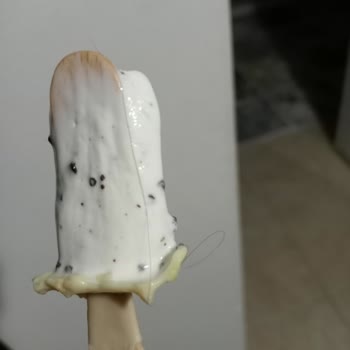 Magnum Dondurmadan Kıl Çıktı