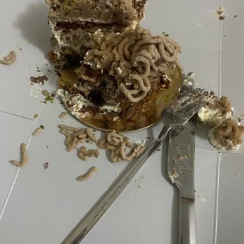 Liva Pastanesi (livashop.com) Liva Ekşimiş Pasta