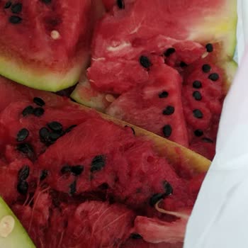 BİM'den Karpuz Almak Mı, İade İçin Fişi Uzatmak Mı Daha Mantıksız?