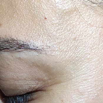 Lushness Beauty Kaş Yapımı (kıl Tekniği)