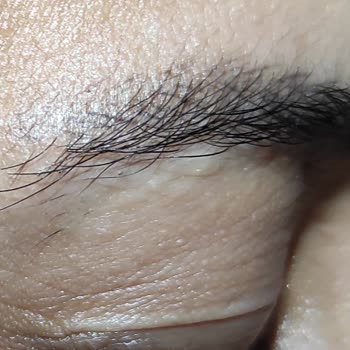 Lushness Beauty Kaş Yapımı (kıl Tekniği)