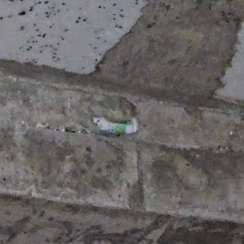 BTG İnşaat Btg Anka Sitesini Oyalıyor