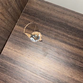 Özçınar Mobilya'nın Hizmetinden Memnun Kalmadım!