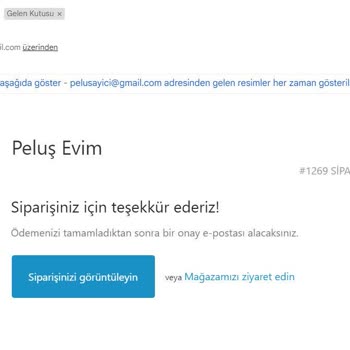Www.pelusevim.com Adresi Sipariş Göndermiyor