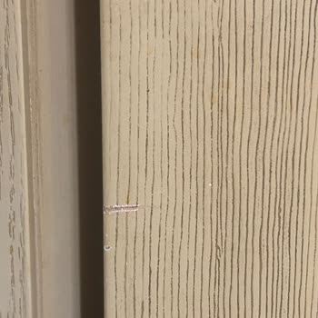 LG Türkiye Hasarlı Ürün Teslimatı