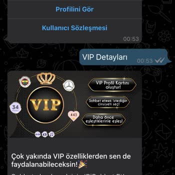 Bi Sohbet Vip Üyesi Olamıyorum